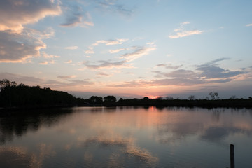 Beautiful sunsets near the lake, mangroves become silhouettes because it involves the sun's rays