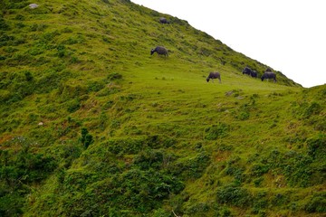 Climbing the mountain trails in New Taipei City, Taiwan © chienmuhou