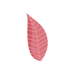 leaf nature foliage isolated icon