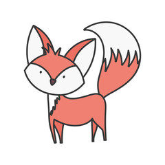 cute fox with big tail standing on white background