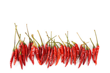 A lineup of bright red Thai bird chiles on an isolated white background with copy space
