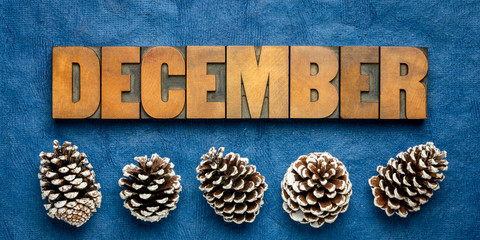 December month banner in wood type