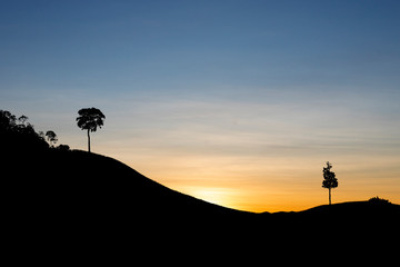 silhouette mountain and trees at sunset sky background