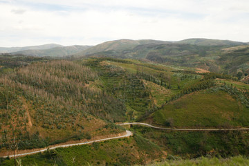 Winding Road in The Mountains
