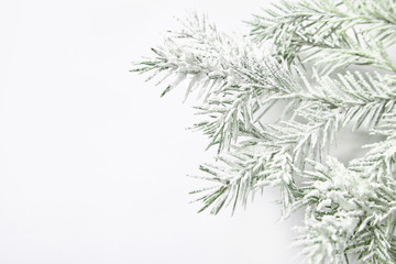 Christmas background with snowy fir branches.