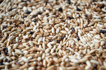 Ground roasted rice or original roasted rice . Selective focus.