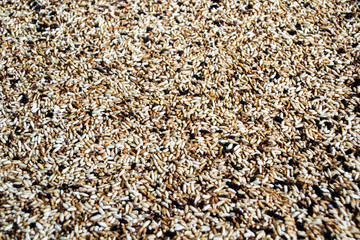 Ground roasted rice or original roasted rice . Selective focus.