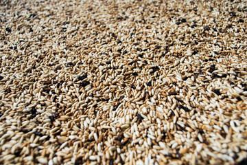 Ground roasted rice or original roasted rice . Selective focus.
