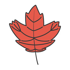 natural leaf foliage autumn on white background