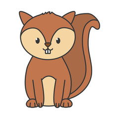 cute squirrel on white background