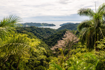 Fototapeta na wymiar Tropical Pacific coast. Costa Rica