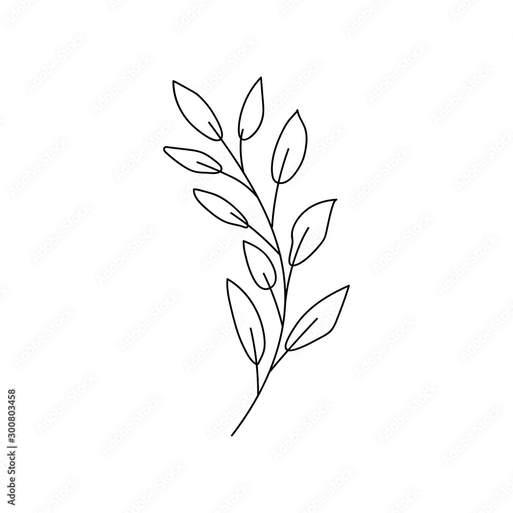 Wall mural branch with leaf on white background