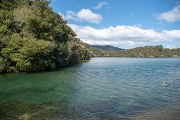 Fototapeta premium Forest covered hills and native bush growing down to the edge of the lake