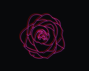 Rose flower with neon effect on dark background