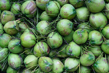 Group of green coconuts textured background