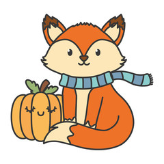 Fototapeta na wymiar cute fox with scarf and pumpkin autumn