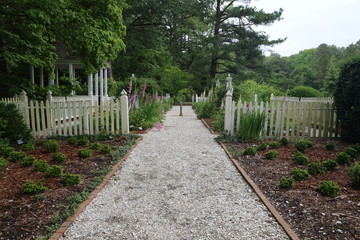 Stock Nature Forest Nature Garden