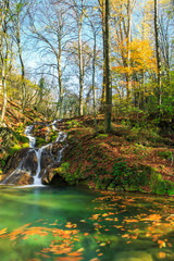 Beautiful stream and autumn colors in the forest, on a sunny day in November