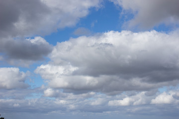 雲
