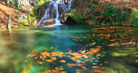 Beautiful stream and autumn colors in the forest, on a sunny day in November