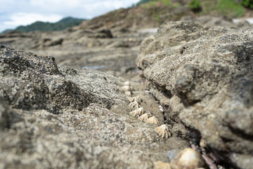 Beautiful close up view of the beach, reef and ocean in Costa Rica