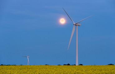 Full moon over a wind turbine in a canola field in bloom 