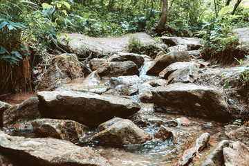 mountain stream with clean drinking water among the rocks around the branches and foliage old