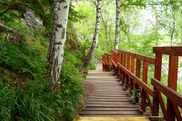 Fototapeta premium chodnik z desek z balustradami ogrodzenia w rezerwacie Park w lesie