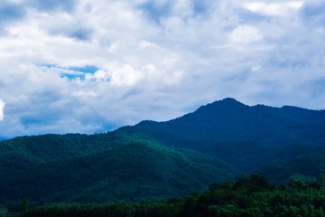 Green forest mountain and blue sky background