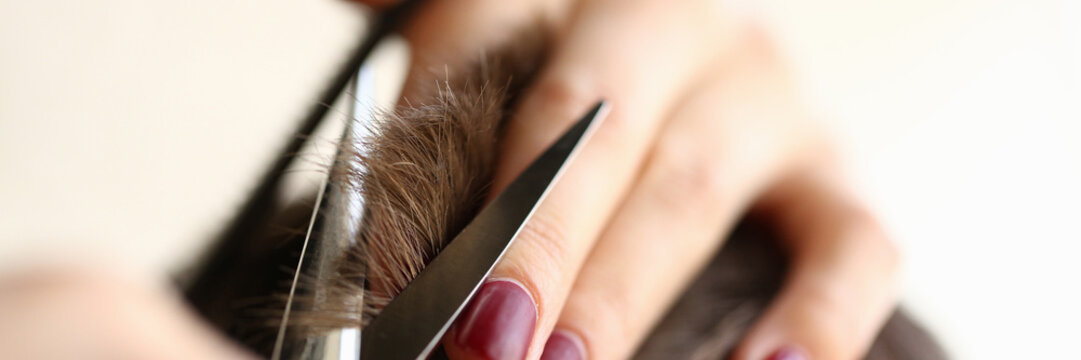 Female Hands Cutting Brown Hair with Scissors