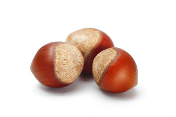 Hazelnuts isolated on white background with clipping path
