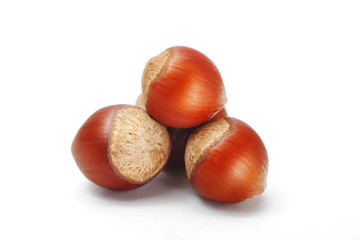 Hazelnuts isolated on white background with clipping path