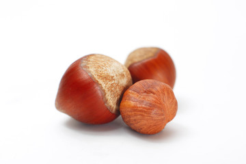 Hazelnuts isolated on white background with clipping path