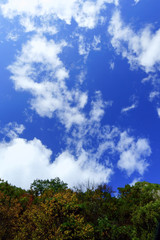 スコーンと晴れた青空に、紅葉が映える