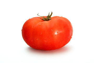 Tomatoes. One fresh delicious whole tomato isolated on a white background.