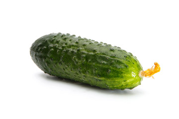 Delicious fresh cucumber isolated on a white background.
