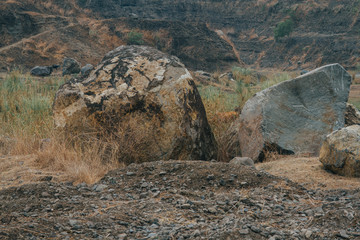 BEAUTIES OF NATURAL DAMAGE