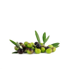 Foglie fresche delle olive verdi isolate su fondo bianco