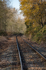 Fototapeta na wymiar railway track covered by fall leaves near the park with trees and bushes on both side with beautiful autumn colour