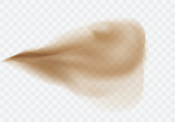 Desert sandstorm, brown dusty cloud or dry sand flying with gust of wind, explosion realistic texture vector illustration isolated on transparent background