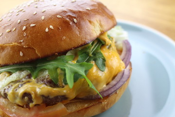 Delicious classic burger isolated on a white plate.