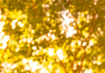 Yellow blur bokeh christmas