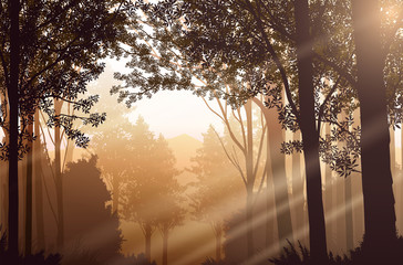 Lumière d& 39 une forêt naturelle Jungle verte montagnes horizon arbres Paysage fond d& 39 écran Lever et coucher de soleil Illustration vecteur style Fond de vue coloré