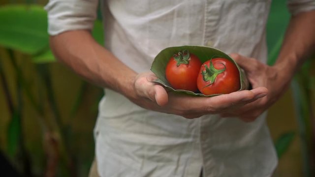 Eco-friendly product packaging concept. Vegetables wrapped in a banana leaf, as an alternative to a plastic bag. Zero waste concept. Alternative packaging