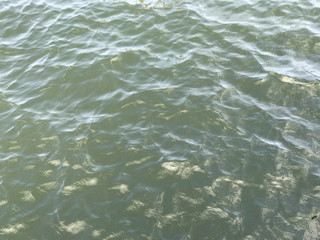 Reflection on the water surface