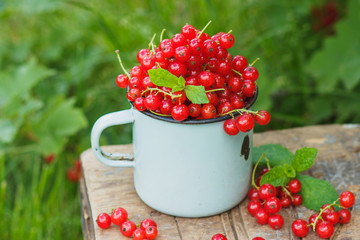 Metal mug with red currant on the table, soft focus background