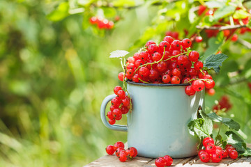 Metal mug with red currant on the table, soft focus background