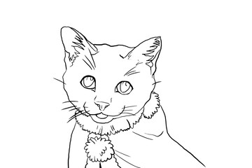 クリスマスようサンタの恰好の猫の塗り絵