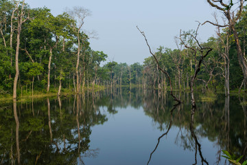 Fototapeta na wymiar jungle Lake reflection 