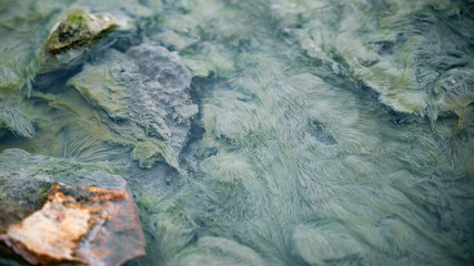 Stórihver, Laugavegur trail, Landmannalaugar to Hrafntinnusker, Iceland
